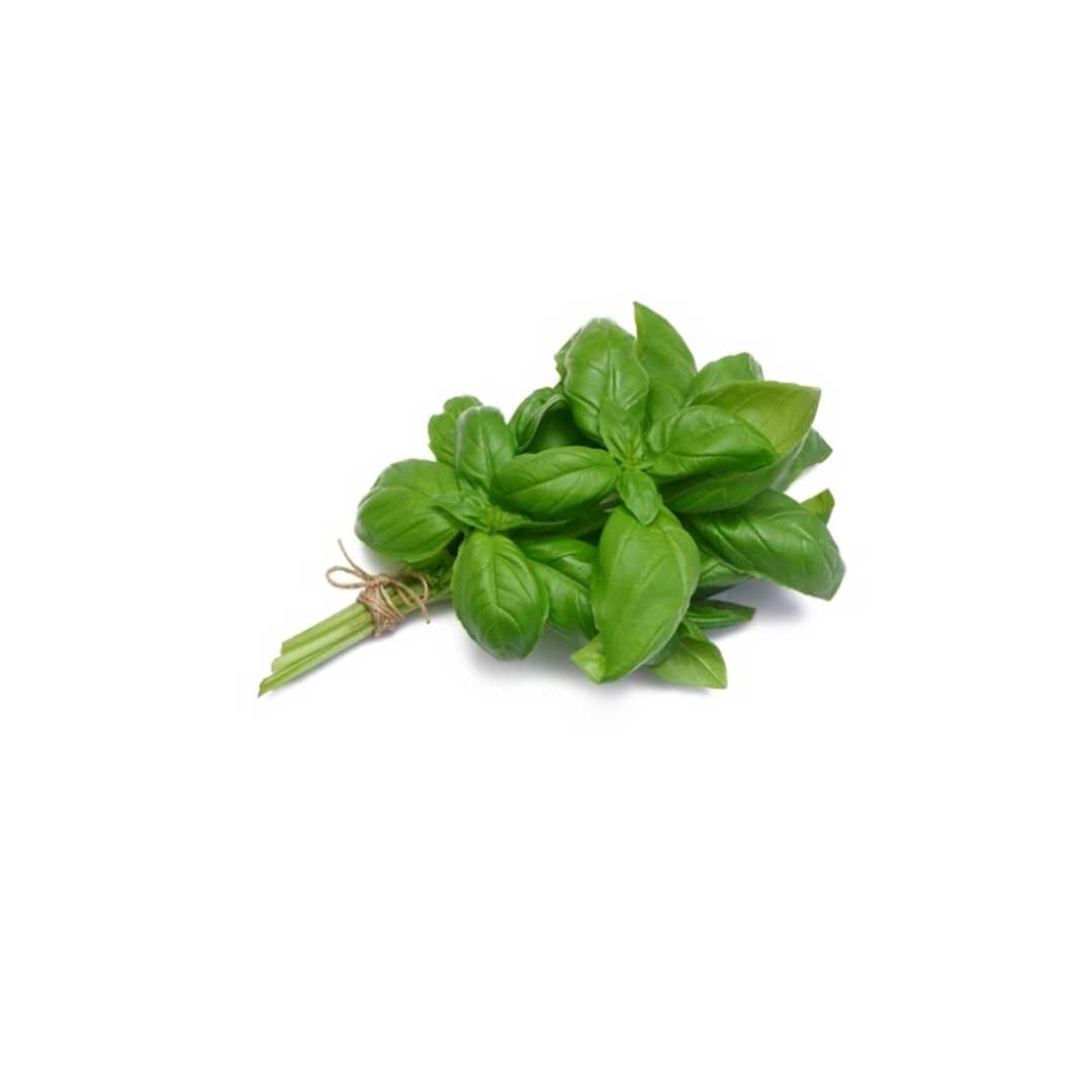 Benzer Basil Italian 1Pkt