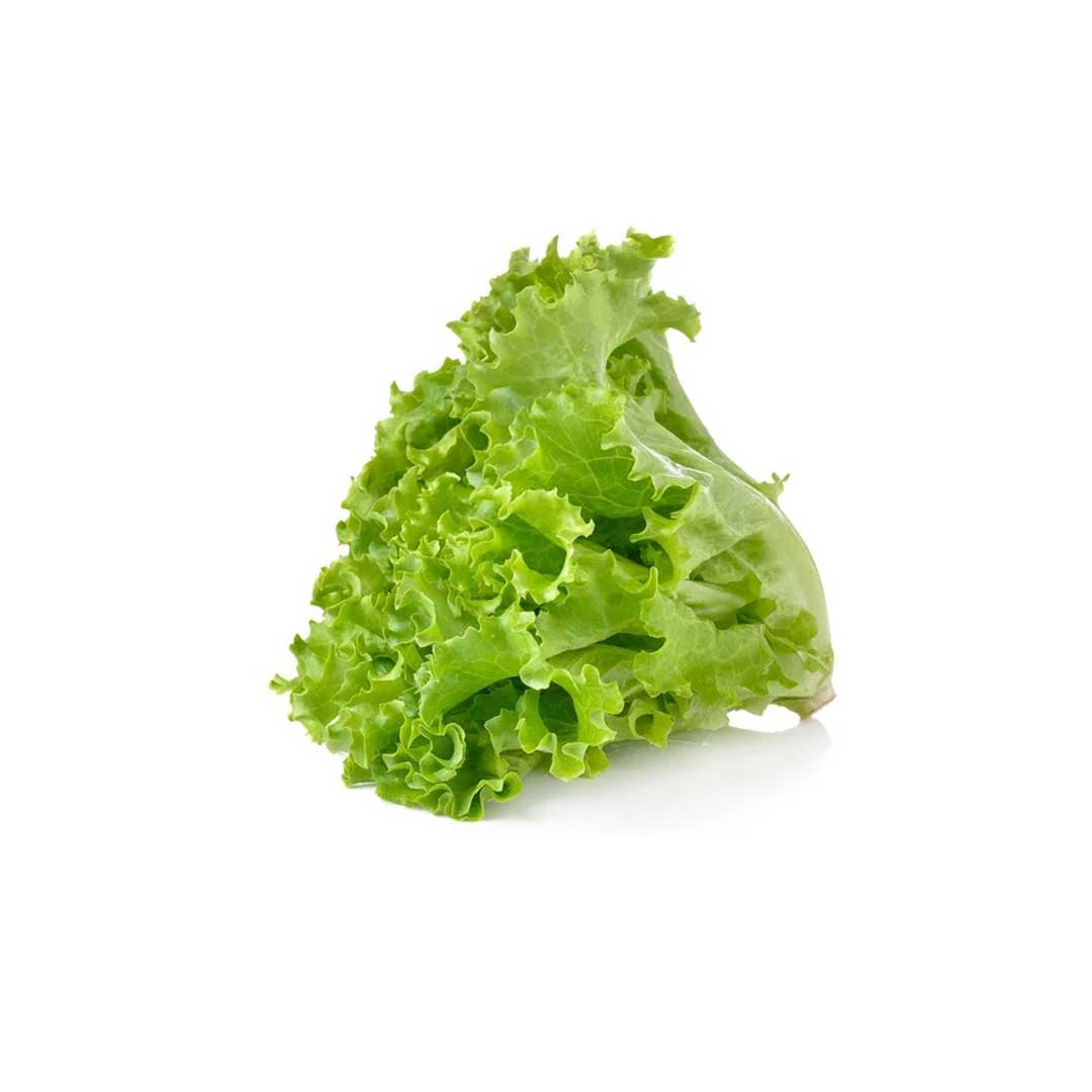 Benzer Batavia Lettuce 1Pkt