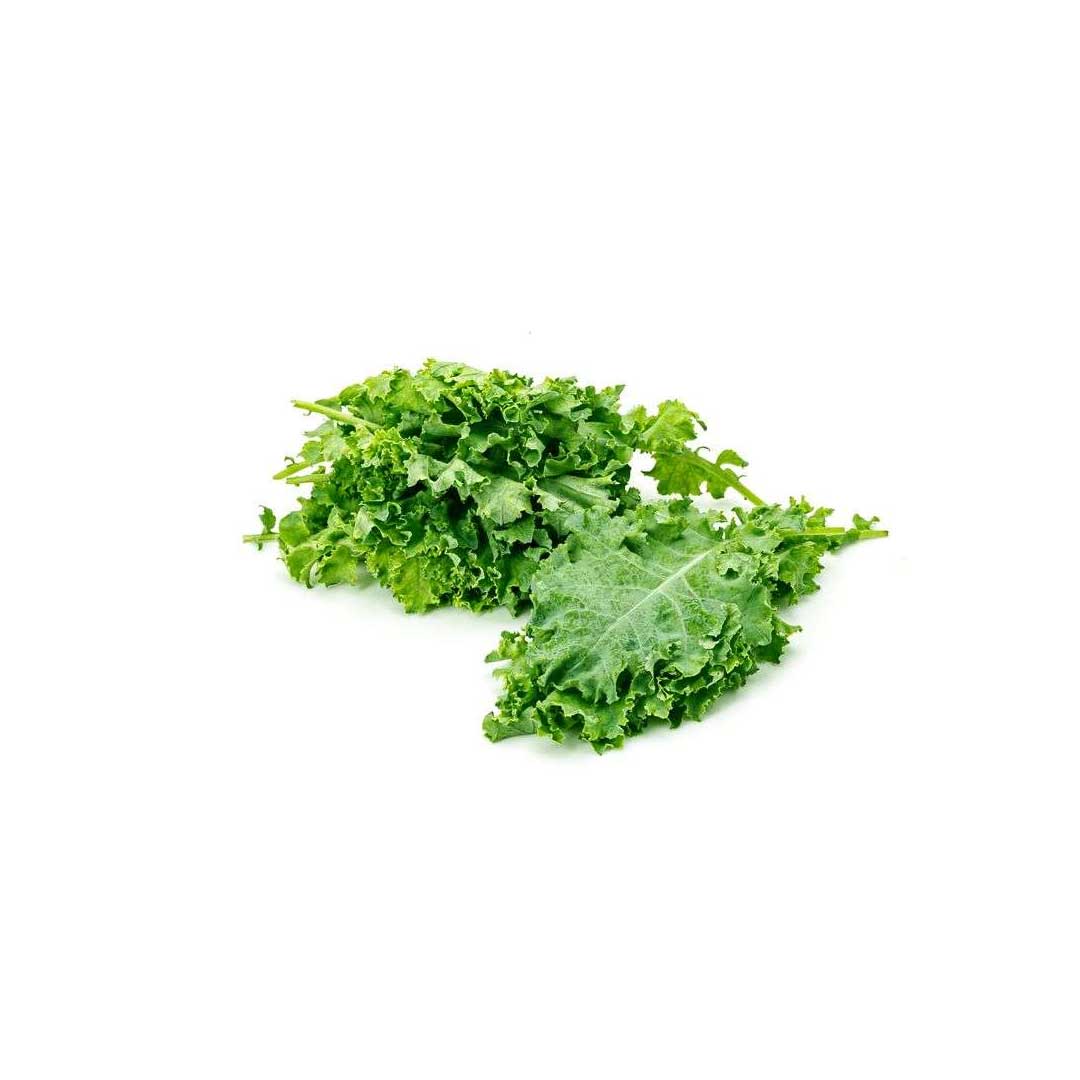 Benzer Curly Kale 1Pkt