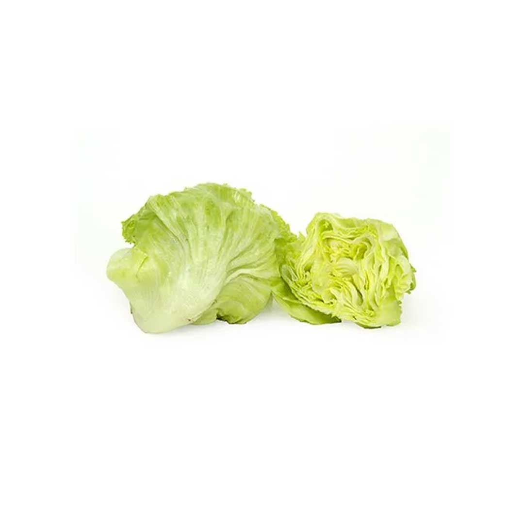 Benzer Lettuce Iceberg 1Pack