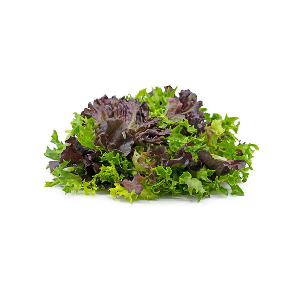 Benzer Lettuce Mix 1Pack