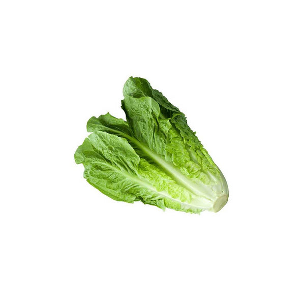 Benzer Lettuce Romaine Green 1Pkt