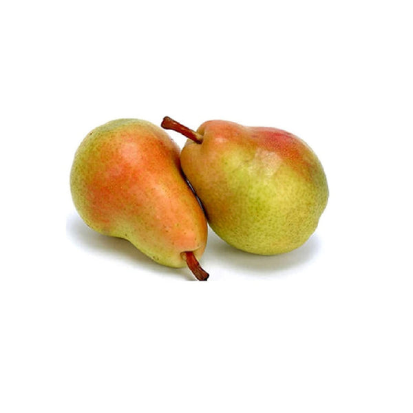 Premium Beauty Pear
