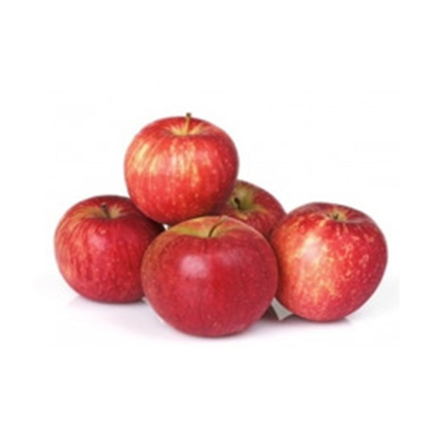 Kinoor Apple