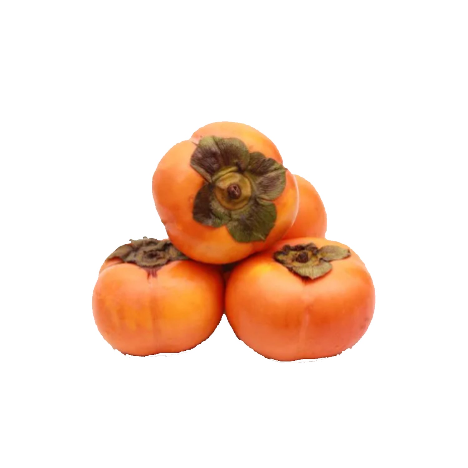 Persimmon