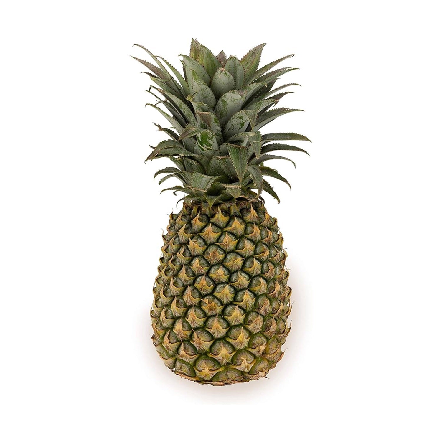 Benzer Pineapple 1Pc