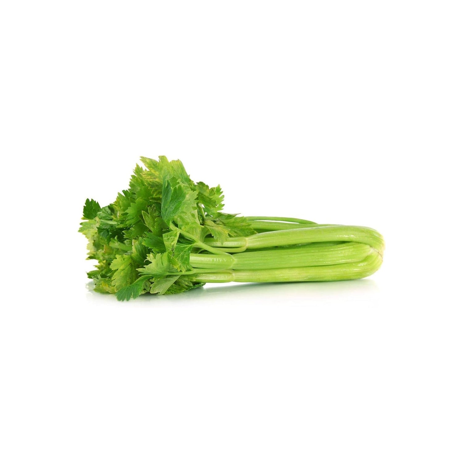 Celery 1Pkt