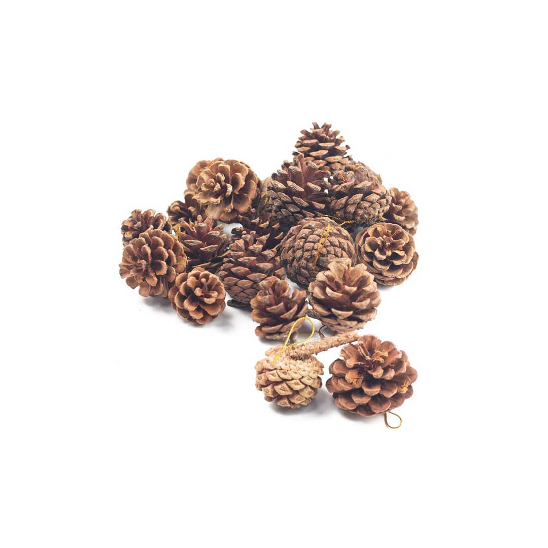 Celebration Essentials Wooden Pine Cone 10Pkt