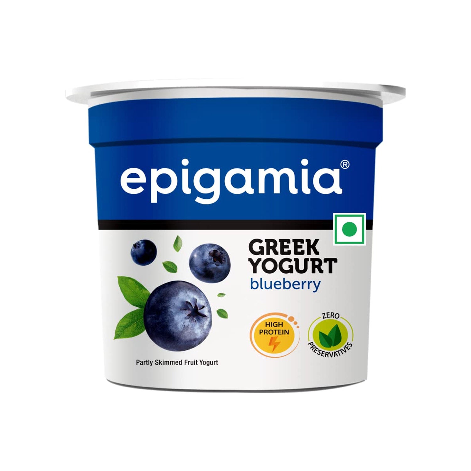 Epigamia Blueberry 85Gm