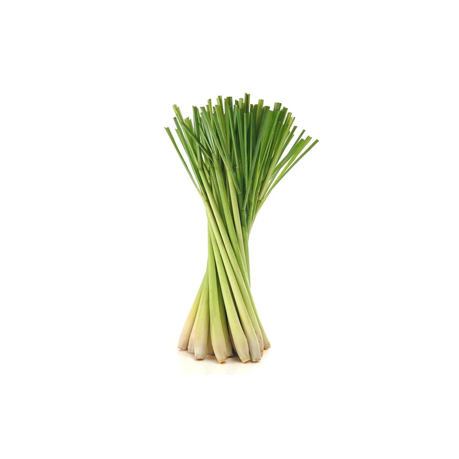 Lemon Grass 1Pc