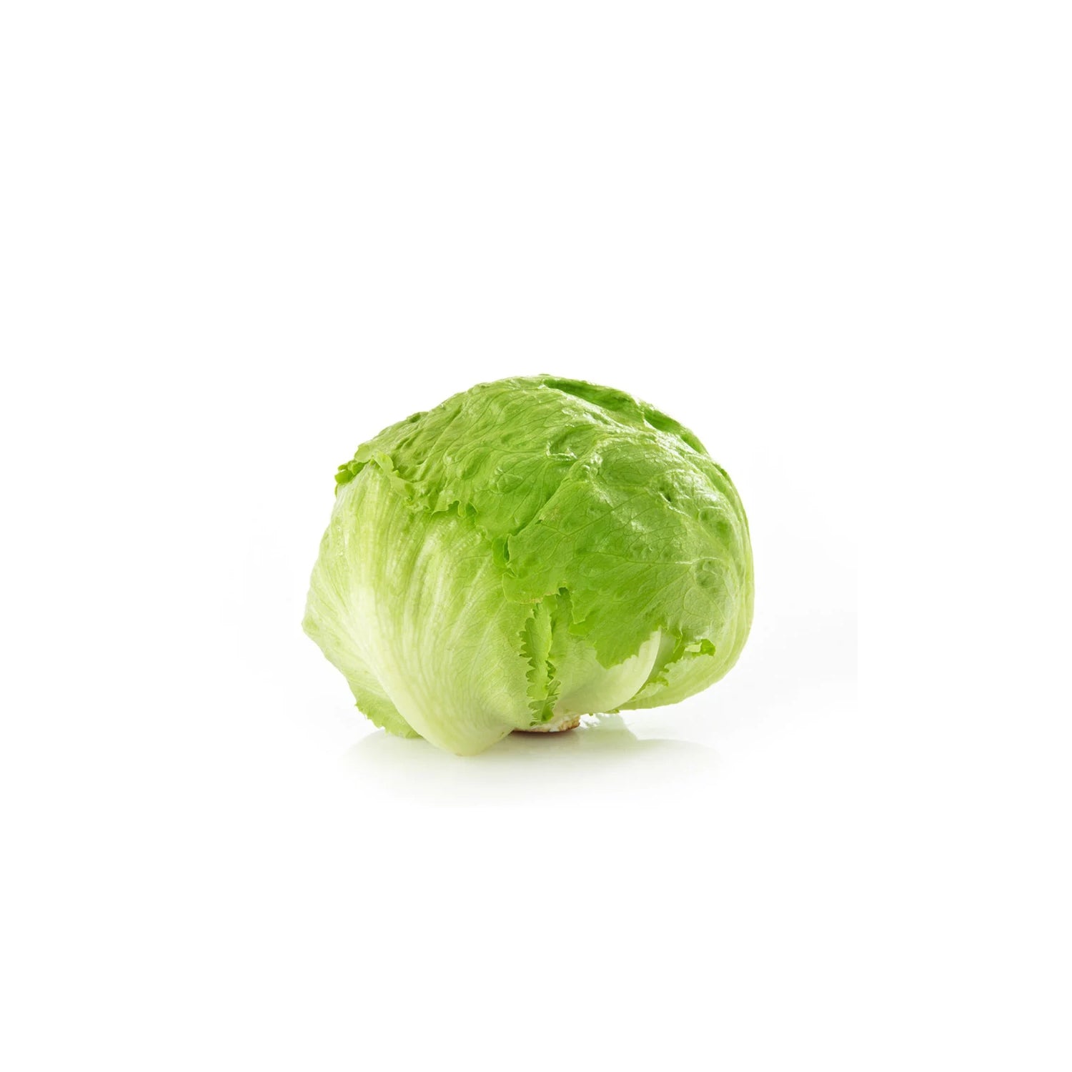 Lettuce Iceberg 1 Pc