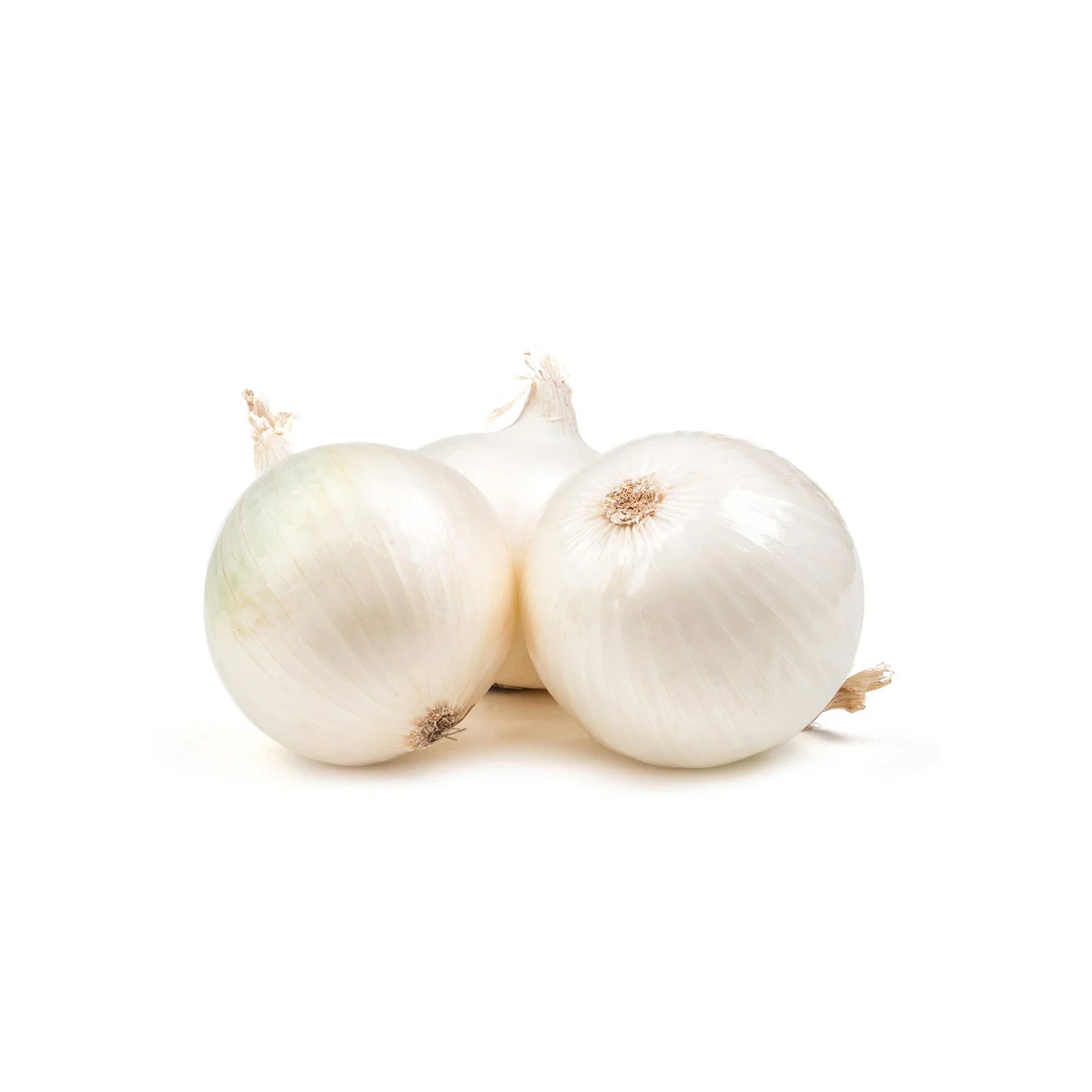 Onion White