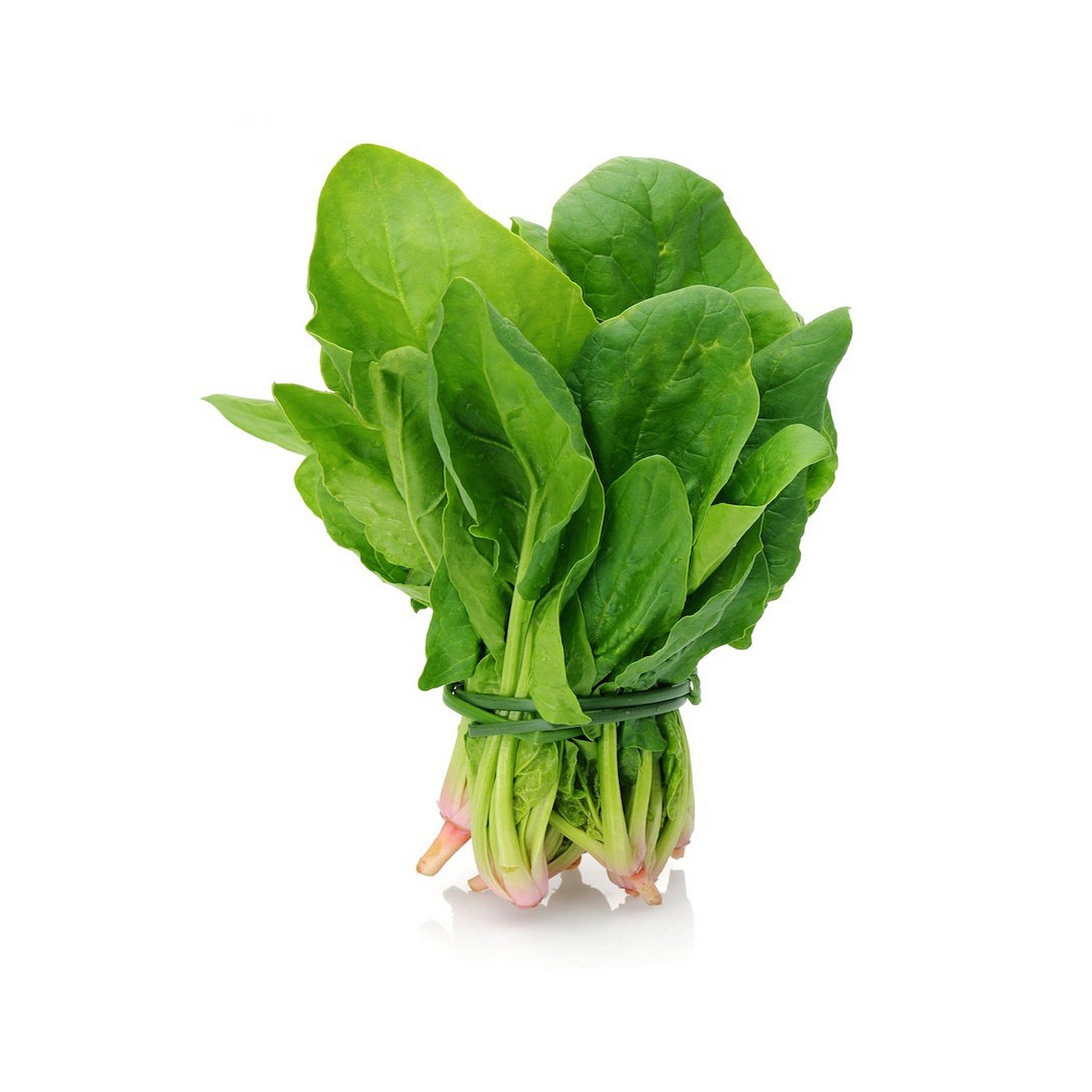 Palak 1Bunch