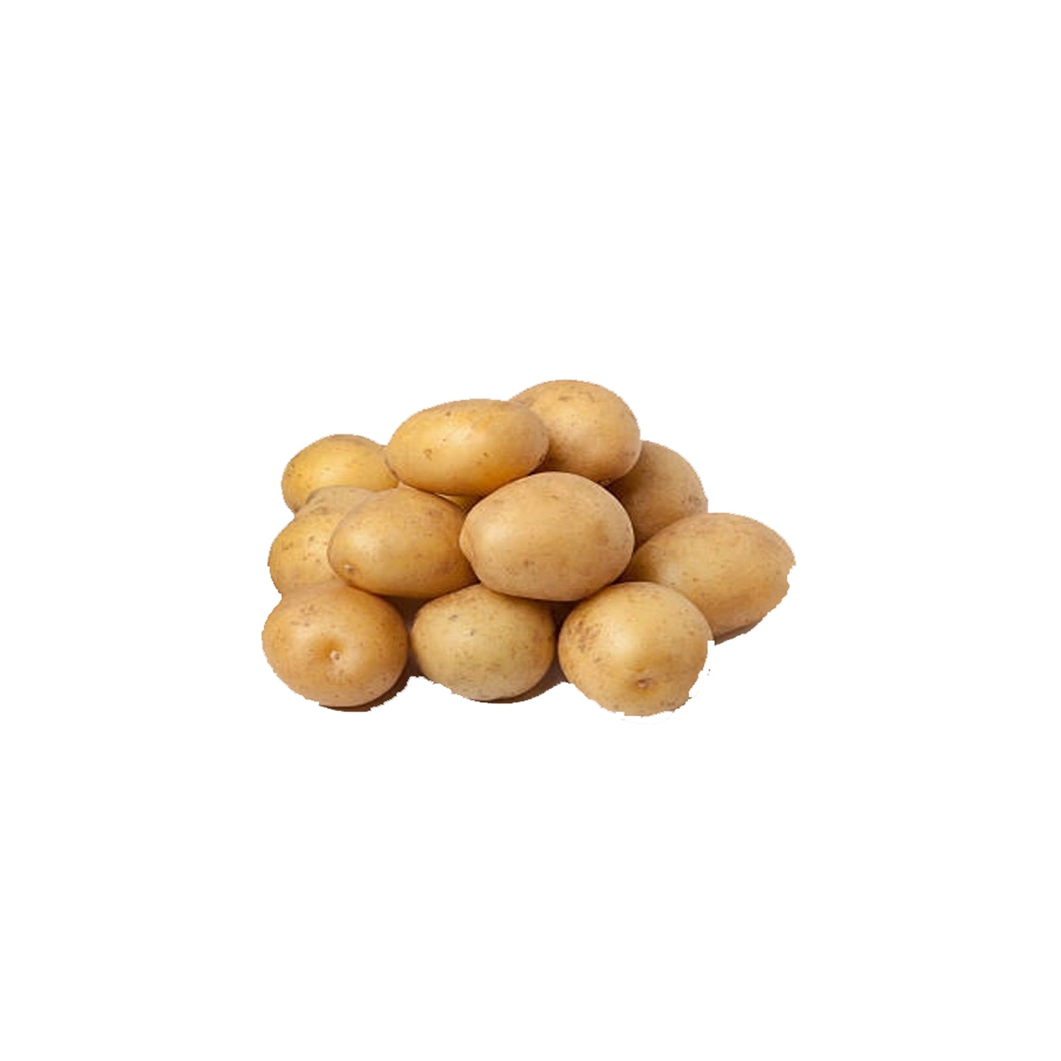 Thecha Kachori