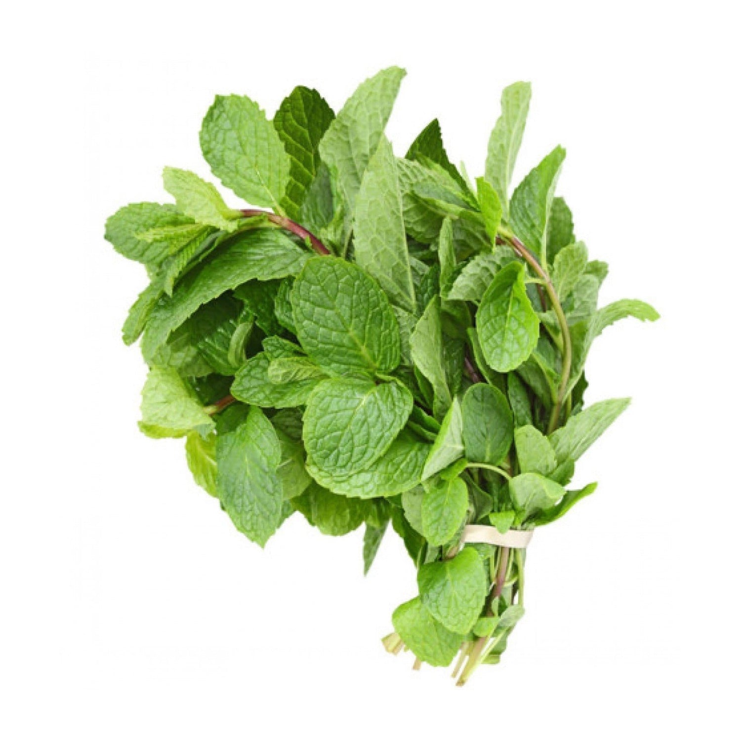 Pudina (Mint) 1 Bunch