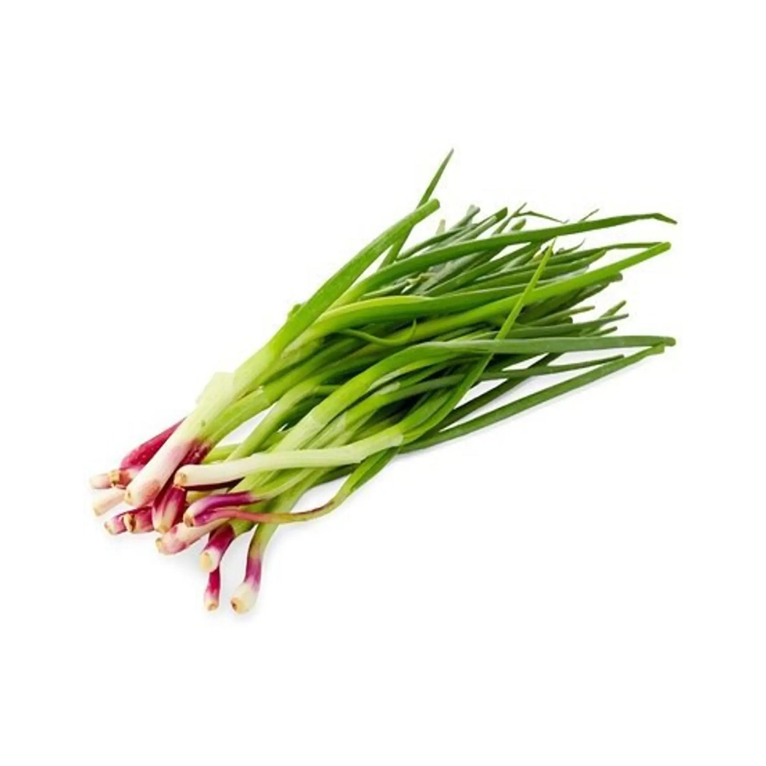 Spring Onion 1Pkt