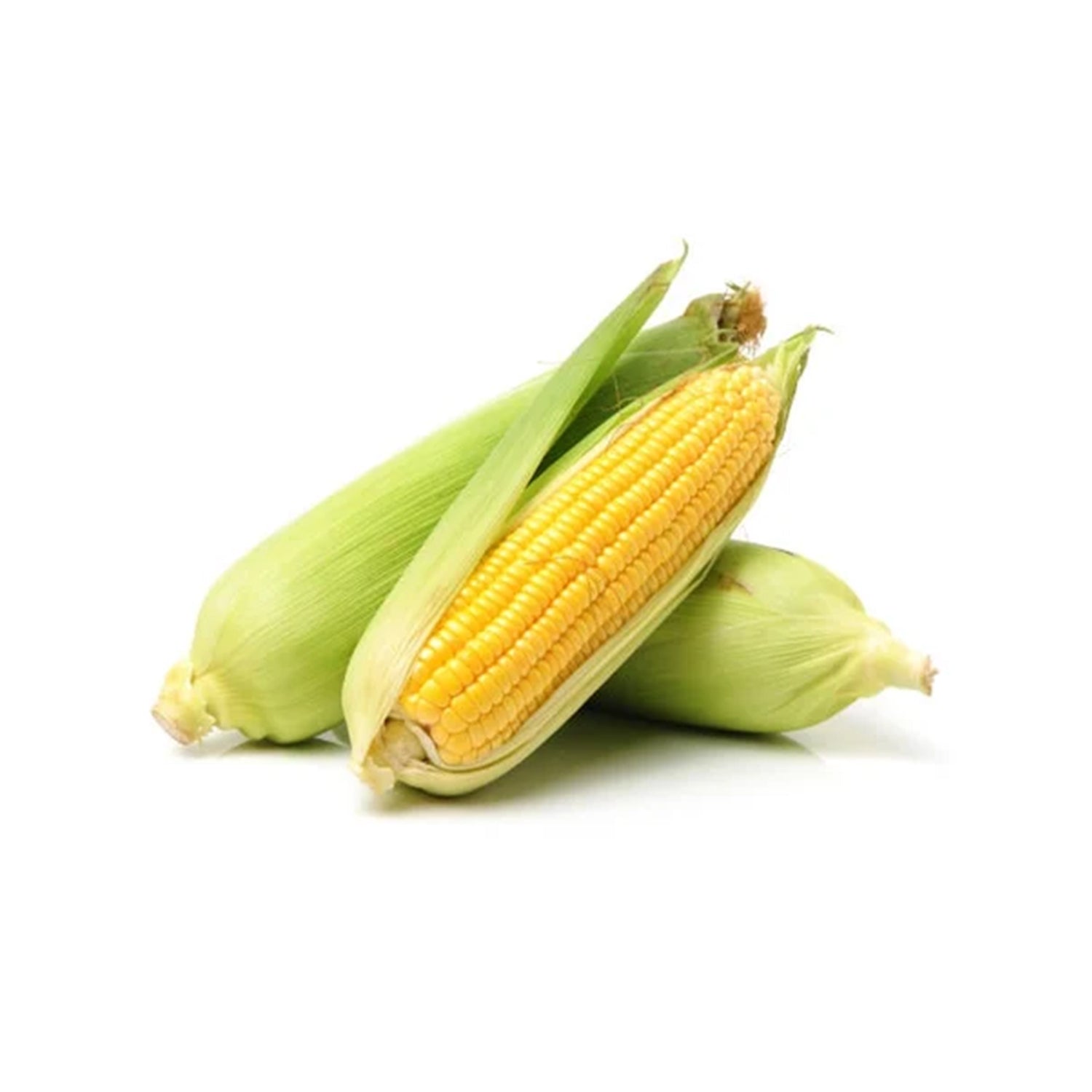 Sweet Corn 1Pc