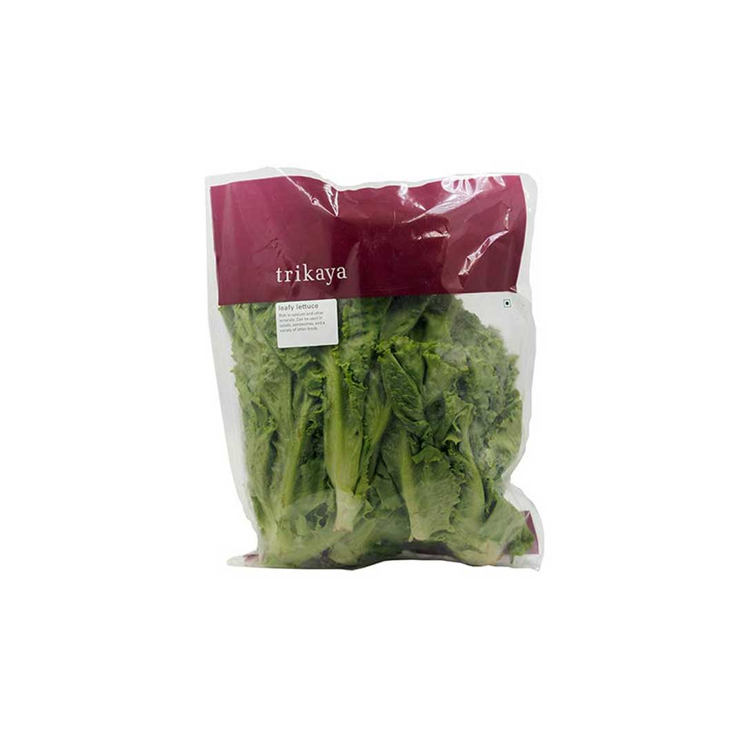 Trikaya Lettuce Leafy Green 250Gm