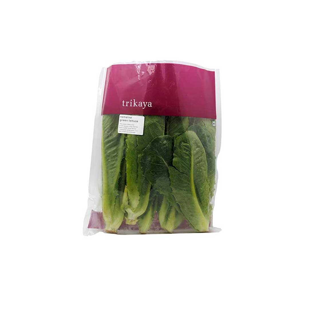 Trikaya Lettuce Romaine Green 1 Pc