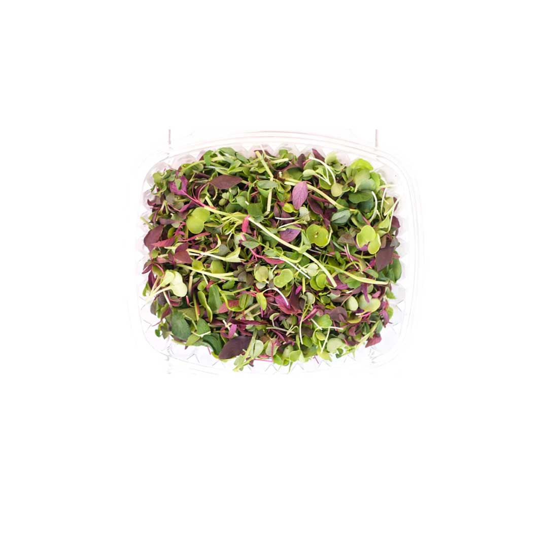 Trikaya Microgreen Mix 1Pkt