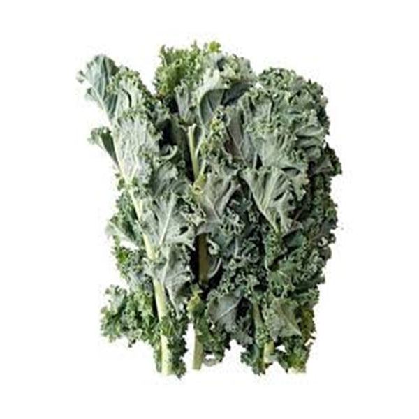 Trikaya Kale Curly 1Pkt