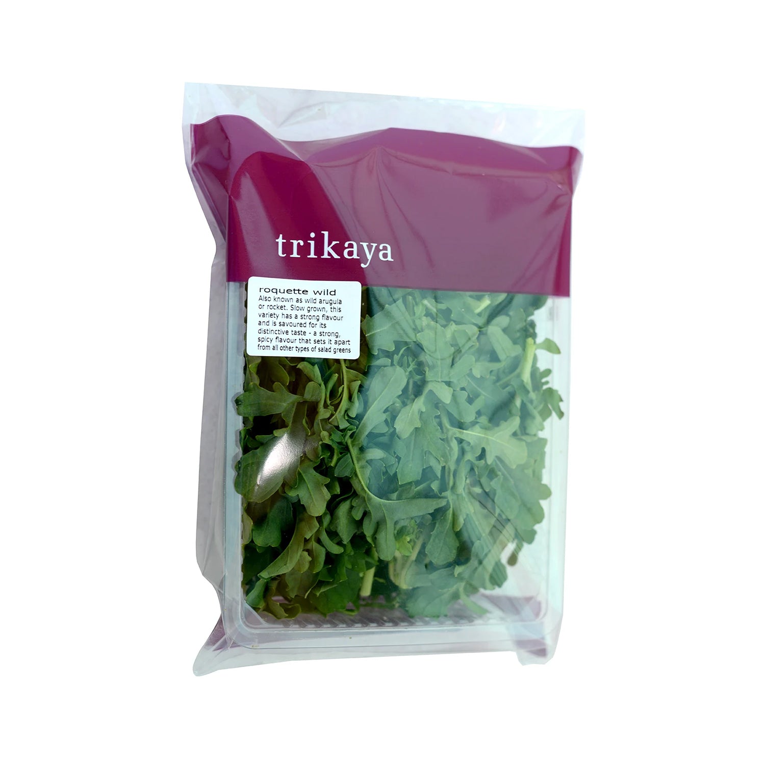 Trikaya Roquette Arugula 1 Pkt