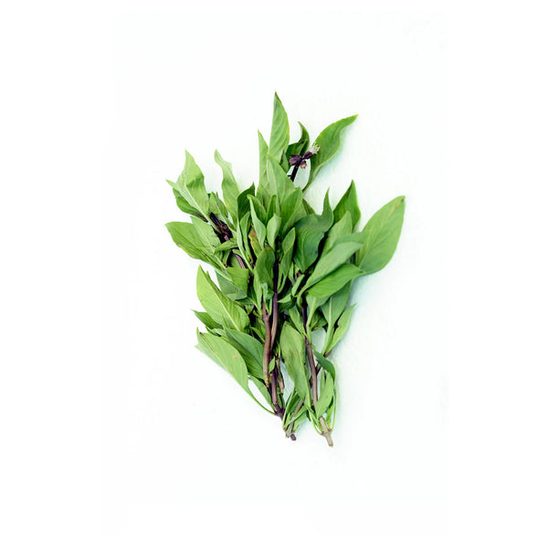 Thai Sweet Basil 10Gm