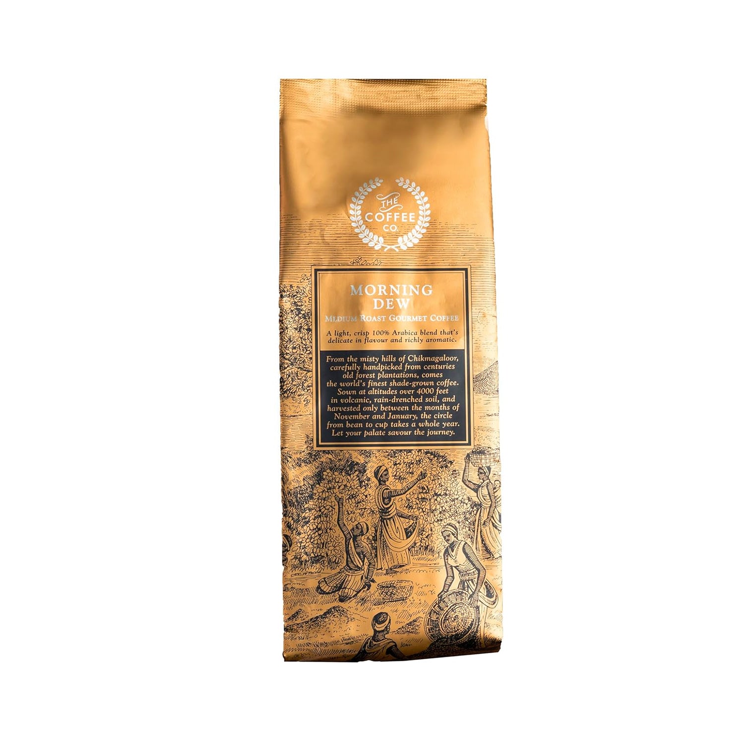 The Coffee Co Medium Roasted Gourmet Coffee Powder 250Gm